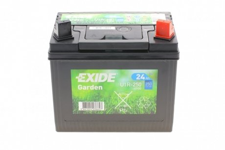 Акумуляторна батарея 24ah/250a (197x132x186/+r) (garden) EXIDE 4900