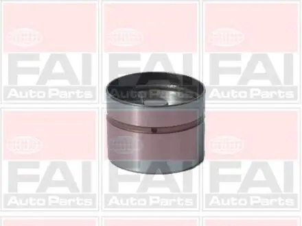 Гідрокомпенсатор Bmw/MB/Kia Bmw M50 95-/M52 /MB OM611 FAI BFS105S