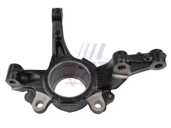 Поворотный кулак, подвеска колеса Fast FT13521 (фото 1)