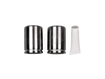 Поршень шинки daily caliper 00- tyl Fast FT32283