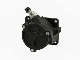 Вакуумный насос Fast FT36062