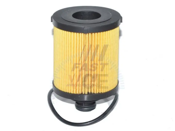 Фильтр масляный SUZUKI WAGON R+ II (MM) 03-; FORD KA(RU8)08-16; LANCIA YPSILON (843) 03-11 Fast FT38068 (фото 1)