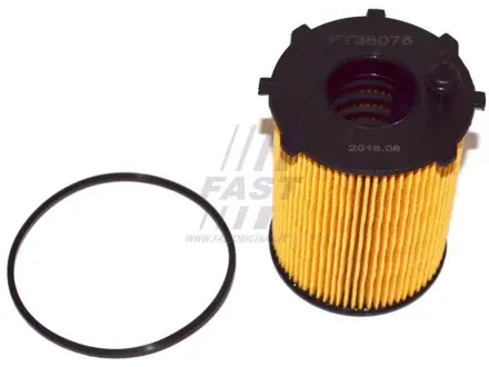 Фильтр масляный SUZUKI SX4 (GY) 07-; CITROEN DS5 11-15; MINI MINI HATCH (R56) 07-10; FORD S-MAX I (WA6) 11-14 Fast FT38075