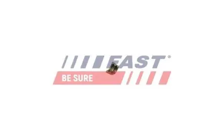 Защита iveco daily 06> клапан двигателя Fast FT43801