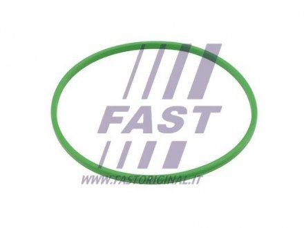 Прокладка топливного насоса iveco daily 06- Fast FT48503
