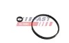 Прокладка корпусу масляного фільтра citroen berlingo, berlingo multispace, c2, c3 i, c3 ii, c3 pluriel, c4, c4 i, nemo, saxo, xsara, xsara picasso peugeot 1007, 106 ii, 206 1.1-2.6k Fast FT48952 (фото 1)