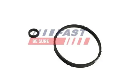Прокладка корпусу масляного фільтра citroen berlingo, berlingo multispace, c2, c3 i, c3 ii, c3 pluriel, c4, c4 i, nemo, saxo, xsara, xsara picasso peugeot 1007, 106 ii, 206 1.1-2.6k Fast FT48952