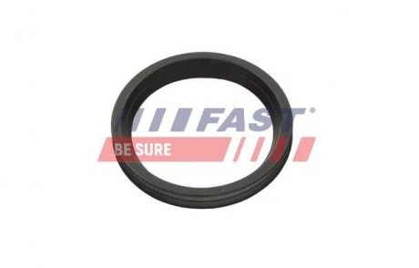 Кольцо патрубка интеркуллера Fast FT48956 (фото 1)