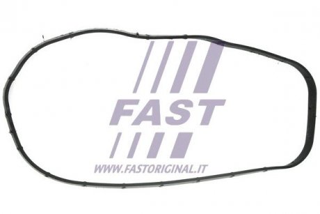 Прокладка крышки двигателя iveco daily 3.0d 04- fiat ducato 3.0d 06- citroën jumper 3.0hdi 06- Fast FT49065 (фото 1)