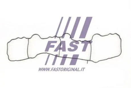 Прокладка впускного коллектора JEEP PATRIOT (MK74) 11-17; DODGE CALIBER (PM) 10-11; MERCEDES-BENZ VITO/MIXTO (W639) 10- Fast FT49430