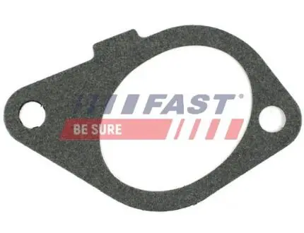 Прокладка цв. in citroen berlingo/jumpy/expert 1.9d Fast FT49433