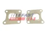 Прокладка коллектора ford transit connect 13&gt; выпуск 1.0 ecoboost Fast FT49471 (фото 1)