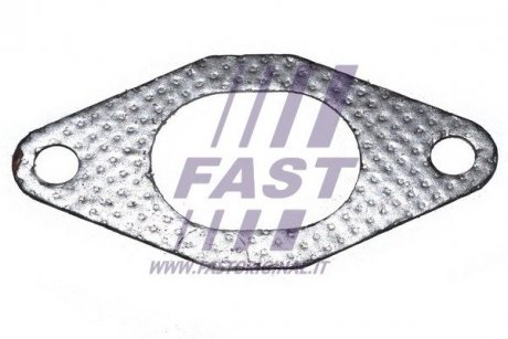 Прокладка колектора iveco daily 00- Fast FT49484 (фото 1)