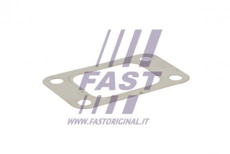 Прокладка турбіни fiat ducato 94-2.5td Fast FT49519 (фото 1)