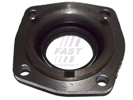 Уплотняющее кольцо, дифференциал Fast FT49838