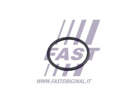 Автозапчастина Fast FT49920