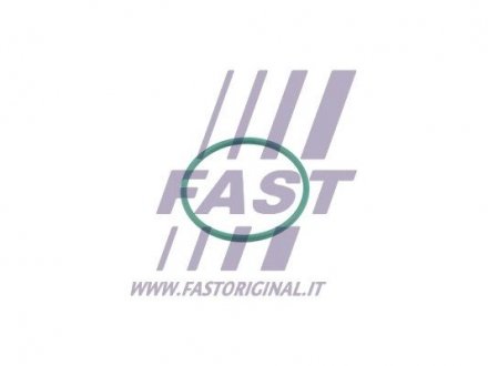 Автозапчасть Fast FT49921 (фото 1)