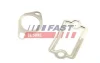 Прокладка клапана egr fiat doblo 00> комплект 1.9d 01> Fast FT49925 (фото 2)