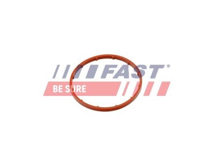 Прокладка вакуум. насос (вел.) citroën berlingo 1.6hdi 08- ford transit connect 1.5/1.6tdci 13- peugeot rifter 1.6hdi 18- Fast FT50701