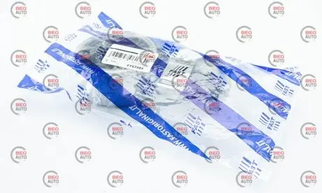 Опора двигателя RENAULT GRAND SCENIC II (JM0/1_) 05-,KANGOO / GRAND KANGOO (KW0/1_) 08-, Fast FT52585