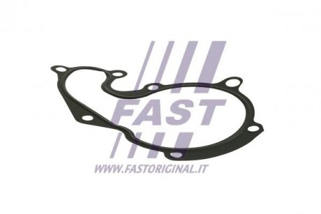 Ущільнення водяного насоса ford connect 02- Fast FT57401 (фото 1)