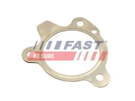 Прокладка глушника renault kangoo ii 08> 1.2 tce 115 13> Fast FT84509