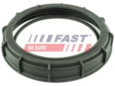 Гайка топливного насоса MERCEDES-BENZ Citan 12-, CITAN Combi (415) 12-, CITAN Mixto (415) 12-, Fast FT94650