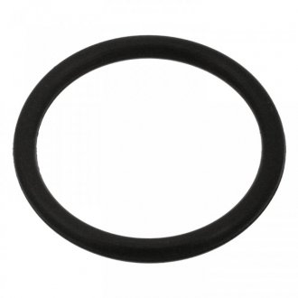 Уплотнительное кольцо FEBI BILSTEIN 100998 (фото 1)