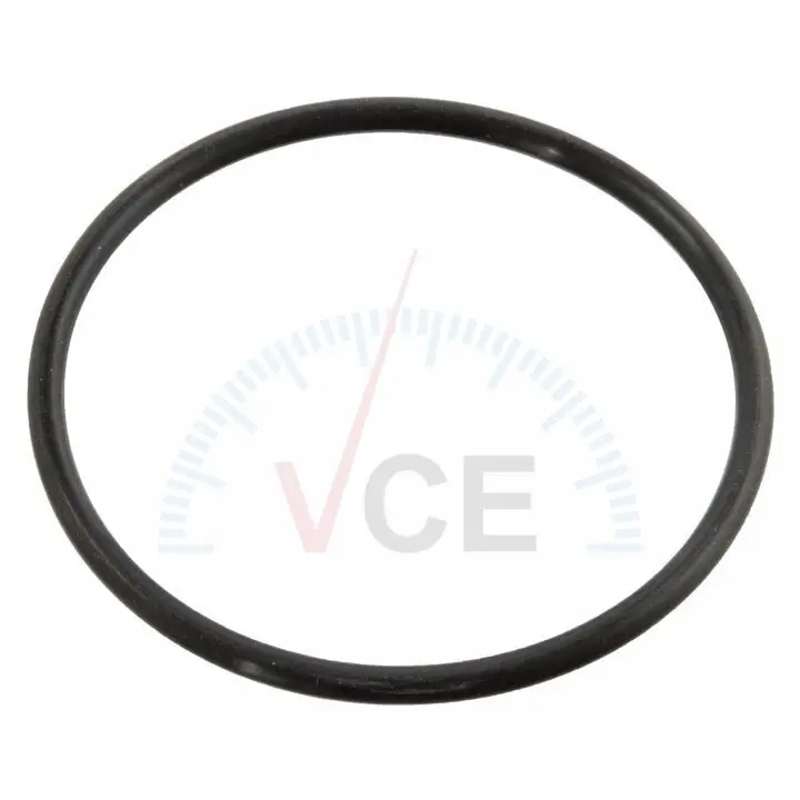 Прокладка, термостат FEBI BILSTEIN 10258 (фото 1)