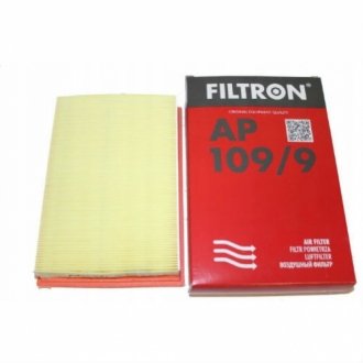 Воздушный фильтр FILTRON AP109/9 (фото 1)