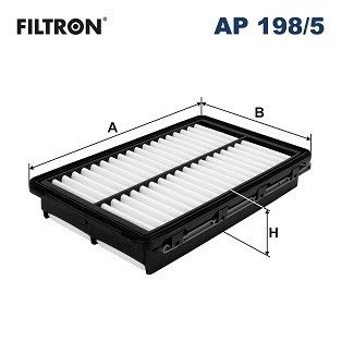 Воздушный фильтр FILTRON AP198/5 (фото 1)