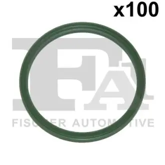 Уплотнительное кольцо FISHER 076.321.100