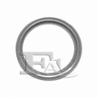 Уплотнительное кольцо, резьбовая пр; уплотнительное кольцо FISHER 111.260.100 (фото 1)