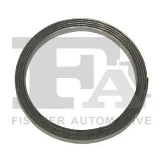 Уплотняющее кольцо FISHER 121991