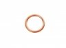 Уплотнительное кольцо, резьбовая пр; уплотнительное кольцо FISHER 968.330.100 (фото 2)