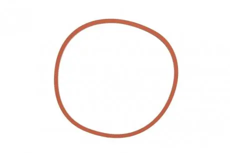 Прокладка впускной колл FORD 1738590