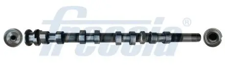 Распределительный вал FRECCIA CM052395