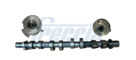 Распределительный вал (Впускная сторона) MERCEDES CITAN (MPV), CITAN-MINIVAN (W415), DACIA DOKKER, DOKKER EXPRESS-MINIVAN, DUSTER, DUSTER-SUV, LODGY, NISSAN JUKE, PULSAR, QASHQAI II 1.2 FRECCIA CM052419