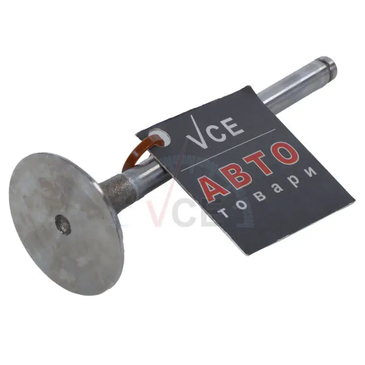 Впускной клапан FRECCIA R4243/SCR (фото 1)