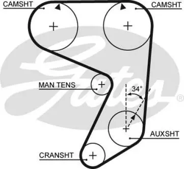 Ремень грм GATES 5081