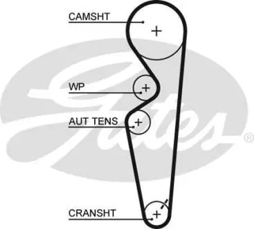 Ремень грм GATES 5431XS