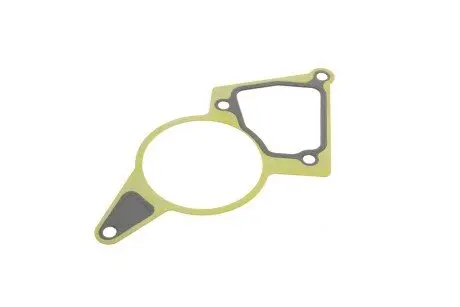 Прокладка насоса вакуумного fiat ducato/peugeot boxer/ford transit 2.2hdi/tdci 06- GAZO GZ-A1770