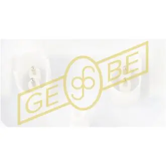 Катушка зажигания двигателя GeBe/IKA 9 4555 1