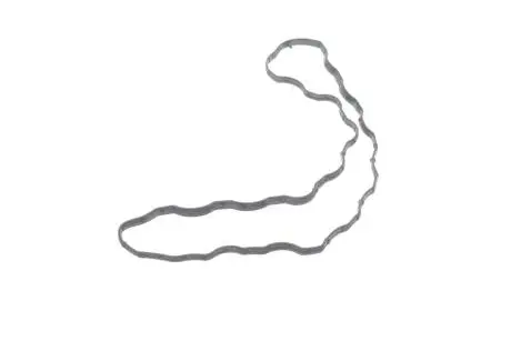 Прокладка клапанной крышки General Motors 12636384