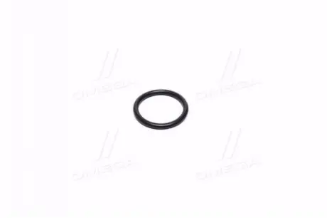 Уплотнительное кольцо масляной трубки 1.4 F14D4,1.6i F16D4 CHEVROLET Aveo 08-17,Cruze 09-15,Orlando General Motors 55353331