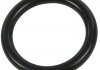 Уплотняющее кольцо корпуса масляного фильтра General Motors 55568536 (фото 2)