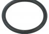 Уплотнительное кольцо General Motors 55582541 (фото 2)