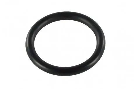 Прокладка трубки корпуса термостата General Motors 90537379