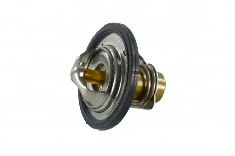 Термостат из в сборе General Motors 94580182
