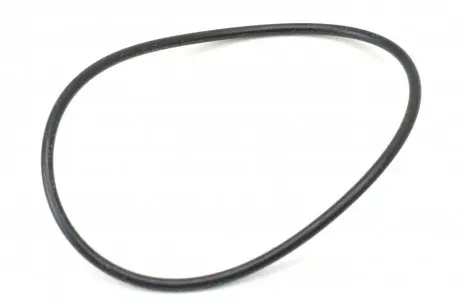 Кольцо водяного насоса General Motors 94580509